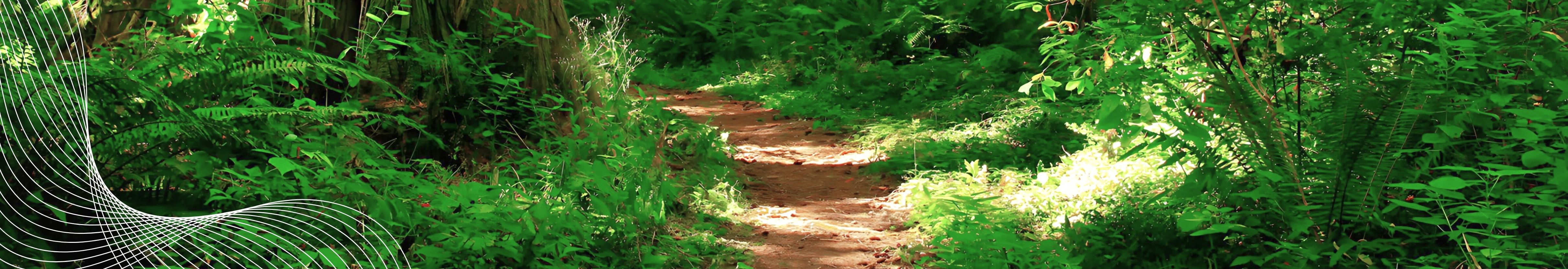 Our Culture Board Staff British Columbia Psychological Association our-culture-board-staff-british-columbia-psychological-association